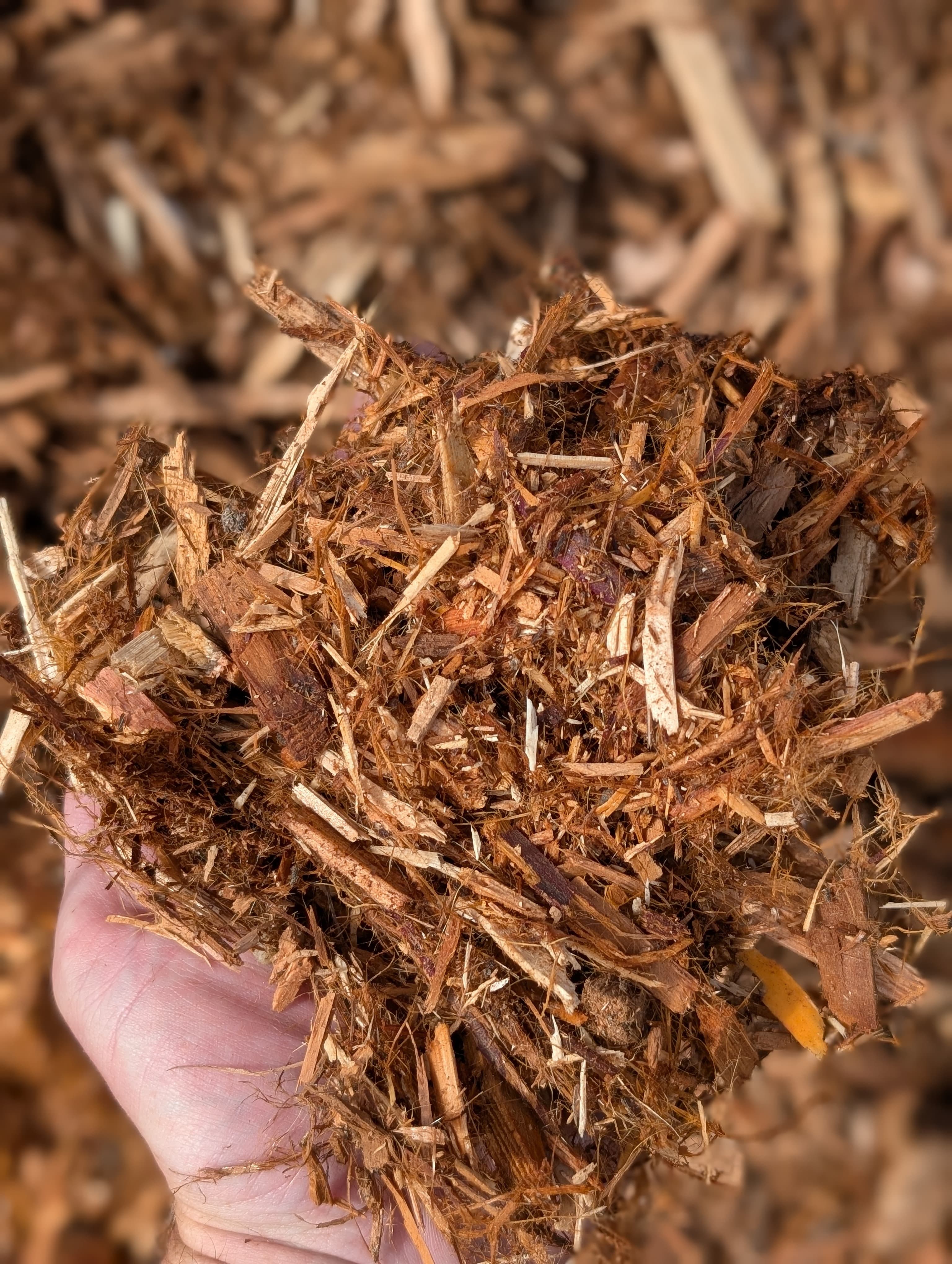 Western Red Cedar Mulch