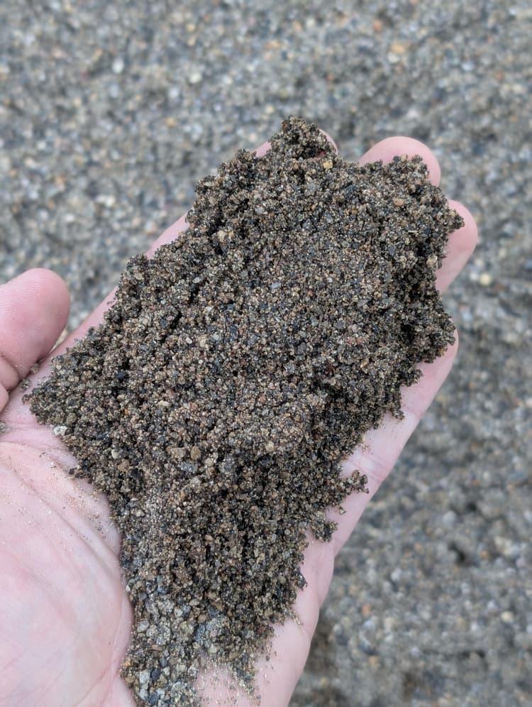 Coarse Washed Concrete Sand — Up close
