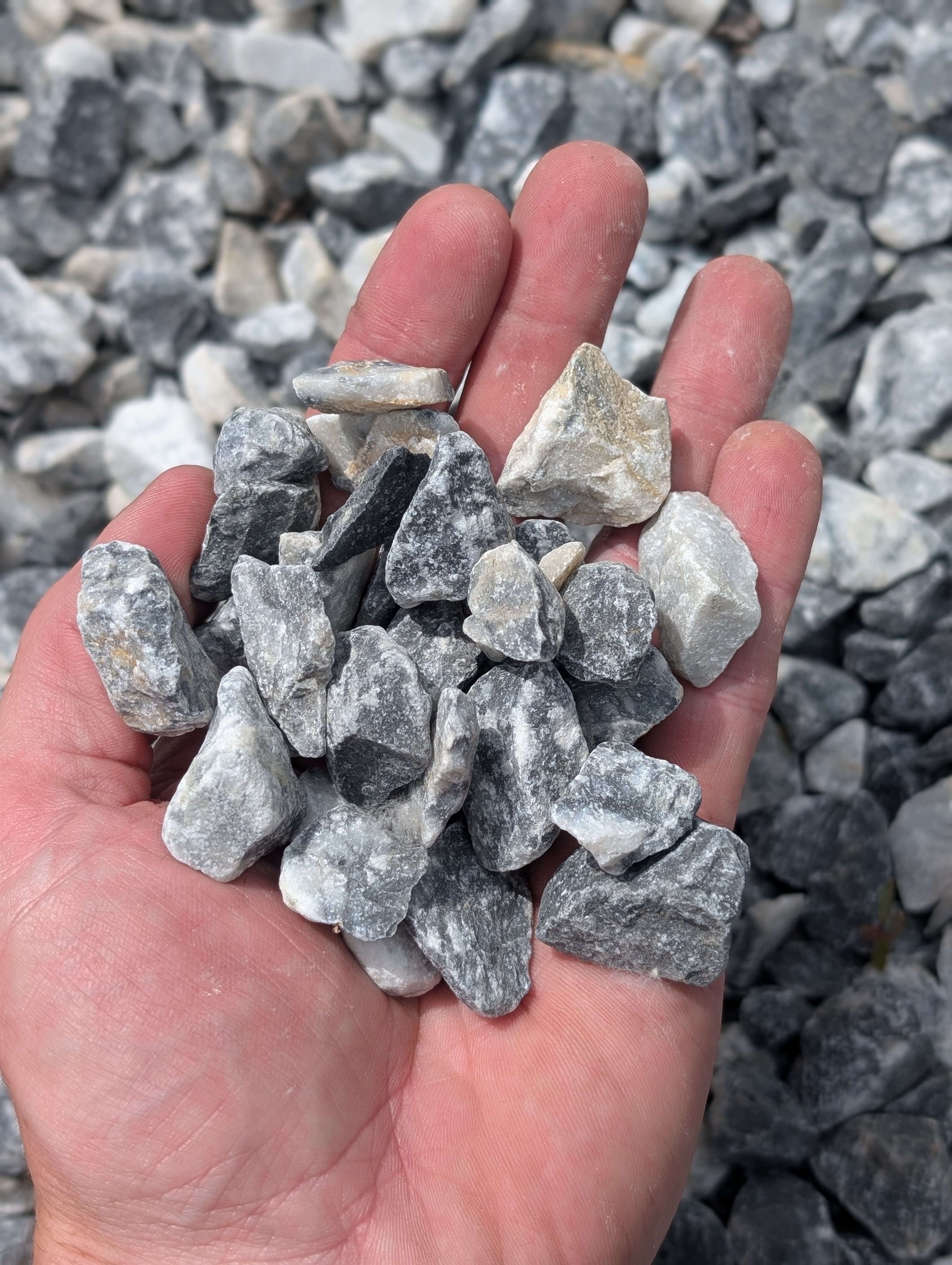 Limestone Landscape Rock 7/8"