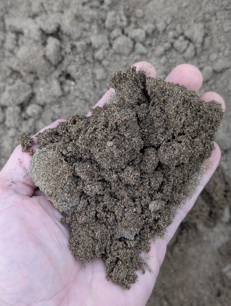 Natural Sandbox Sand — Up close