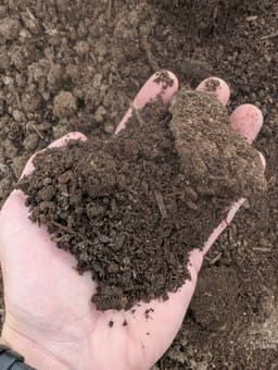 Mushroom Manure